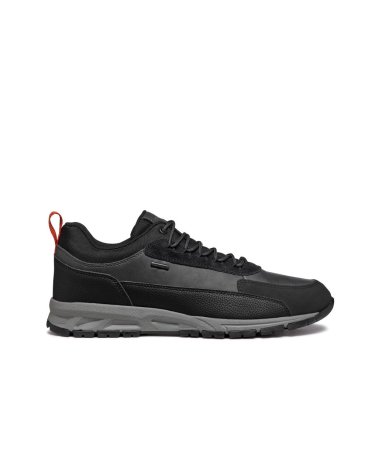 Geox Baskets basses lacets