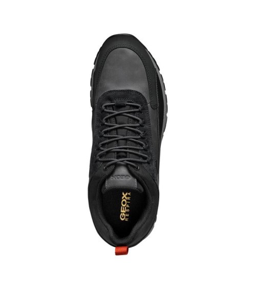 Geox Sneakers basse lacci