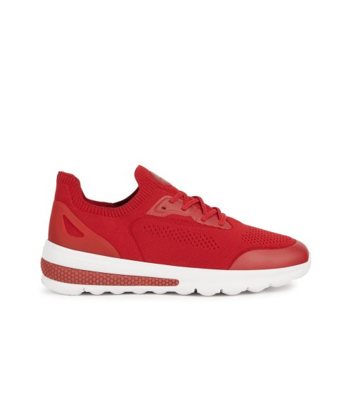 Geox sneakers basse con lacci