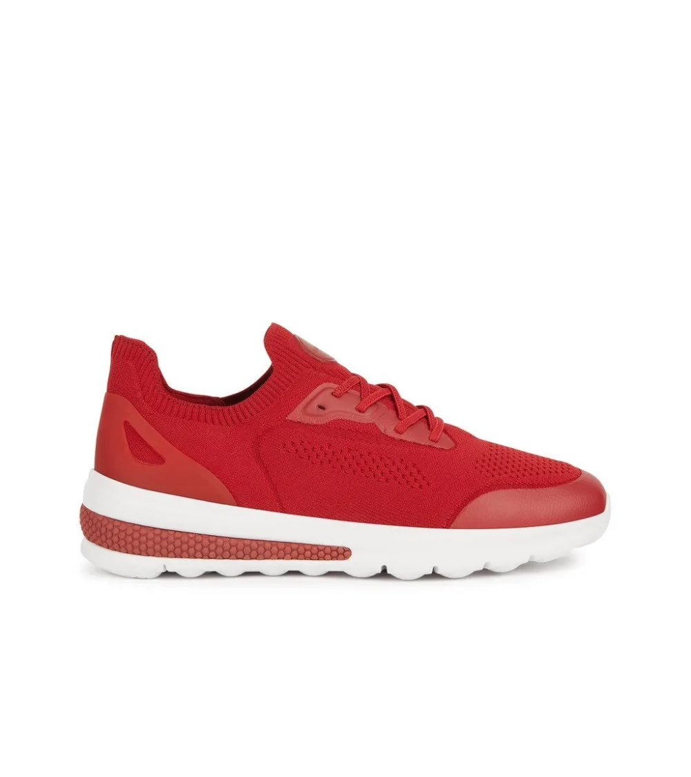 Geox zapatillas bajas con cordones
