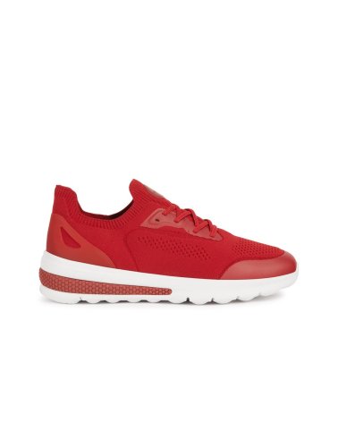 Geox baskets basses avec lacets