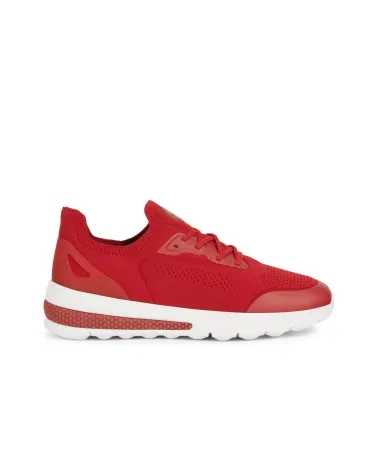 Geox sneakers basse con lacci