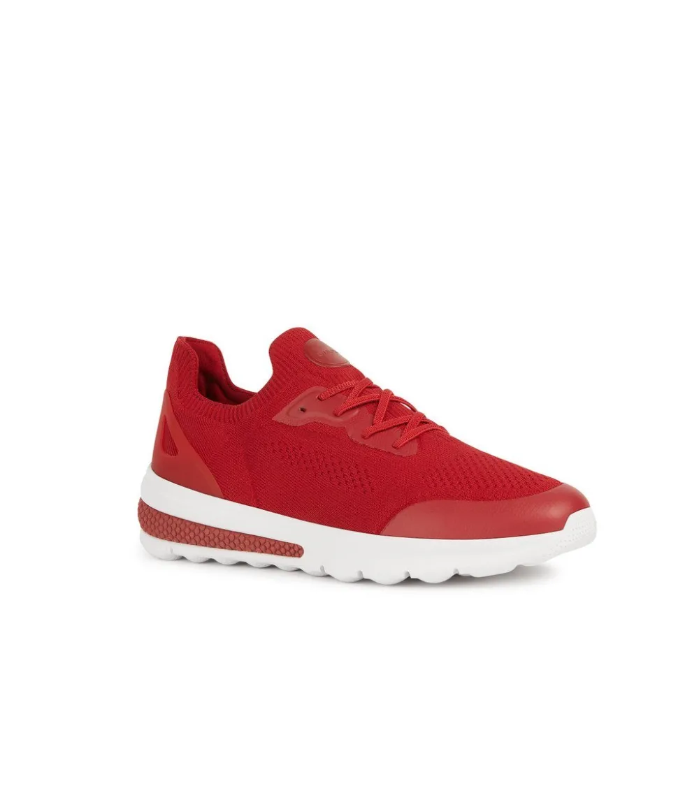 Geox Sneakers niedrig mit Schnürsenkeln