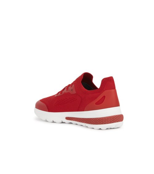 Geox zapatillas bajas con cordones