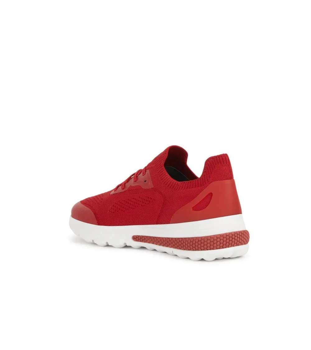 Geox baskets basses avec lacets