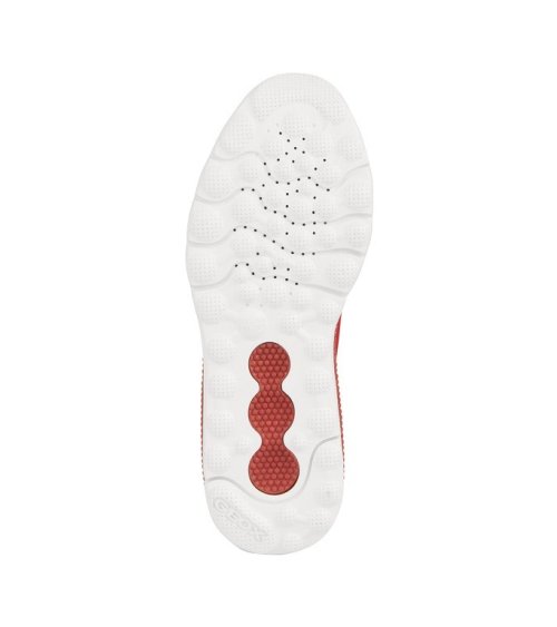 Geox zapatillas bajas con cordones