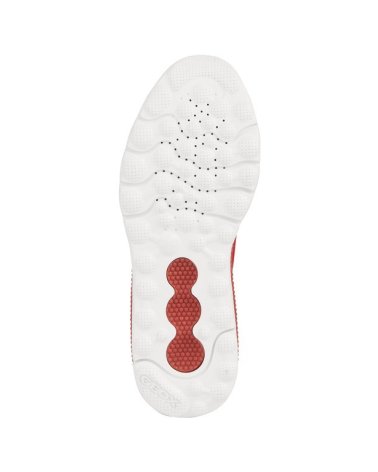 Geox baskets basses avec lacets