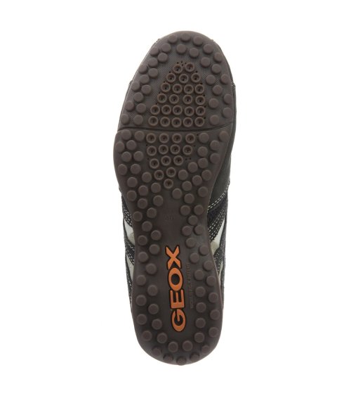 Geox Snake baskets basses