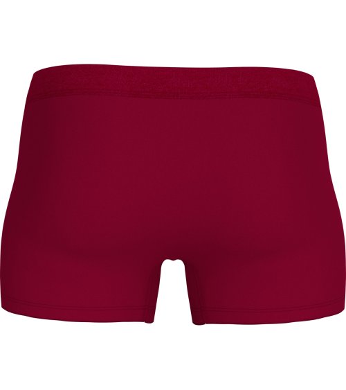 Tommy Hilfiger boxer trunk elástico con logo