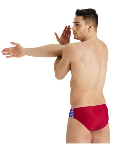 Arena Icons Slip de Natación
