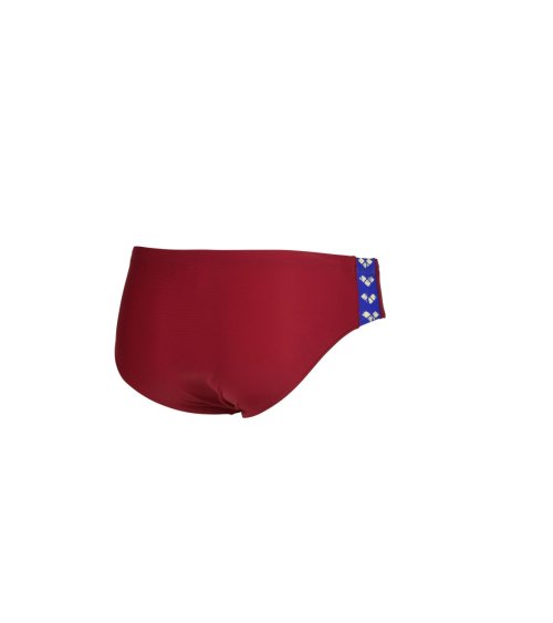 Arena Icons Slip de Natación