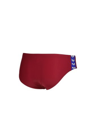 Arena Icons Slip de Natación