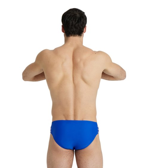 Arena Icons Slip de Natación