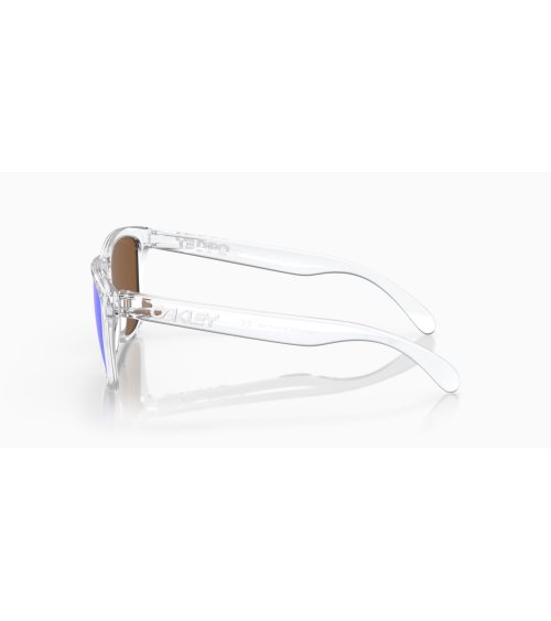 Lunettes de soleil sportives Oakley Frogskins