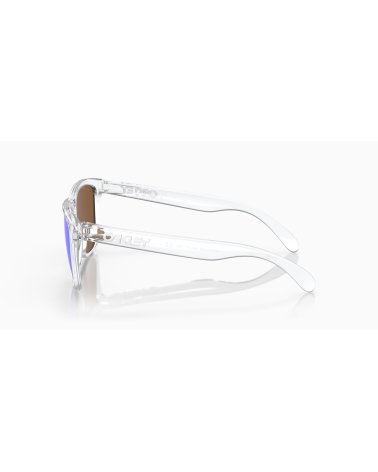Gafas de sol deportivas Oakley Frogskins