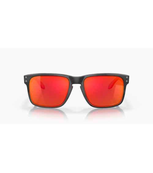 Oakley Holbrook Sportsonnenbrille