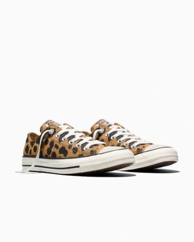 Converse baskets basses en tissu