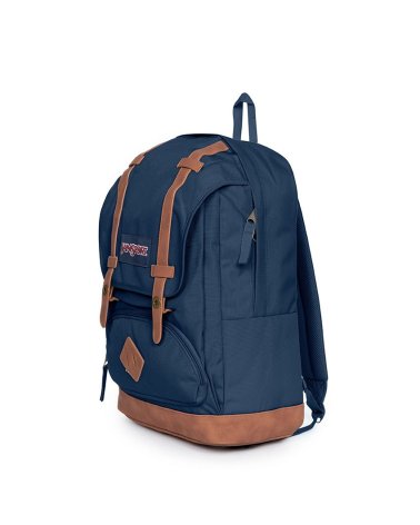 Jansport Cortlandt Rucksack