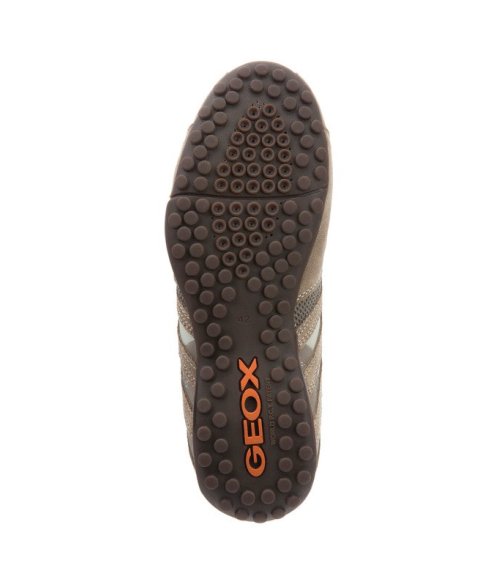Geox Snake sneakers basse
