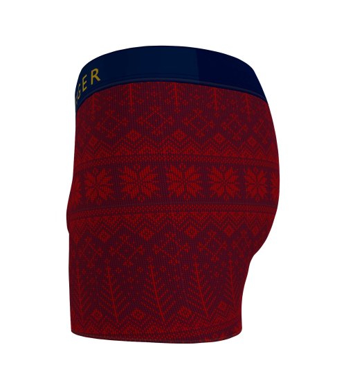 Tommy Hilfiger Boxershorts und Socken Set