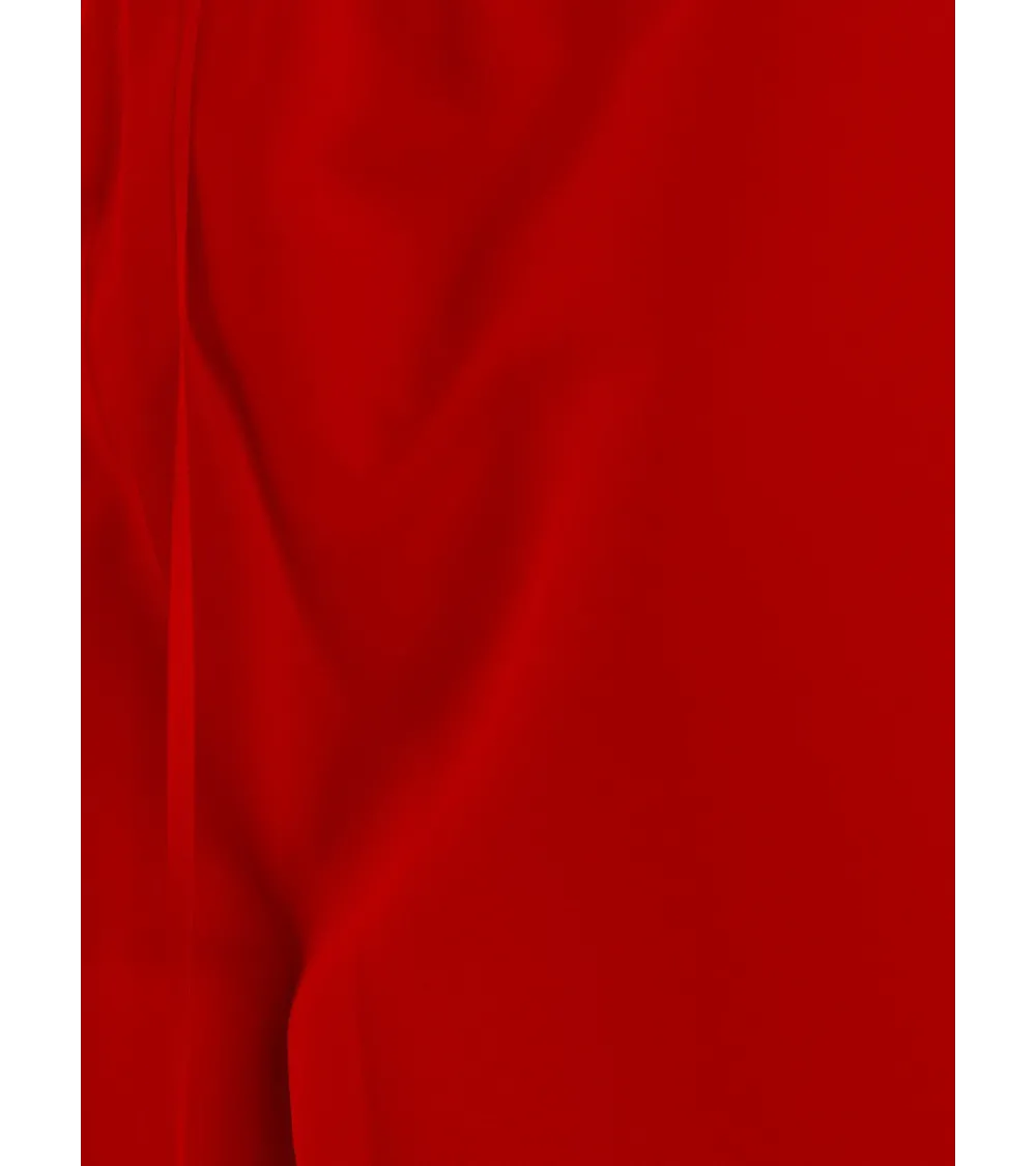 Tommy Hilfiger elastic swim shorts