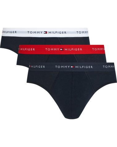 Slip Tommy Hilfiger con elástico en la cintura