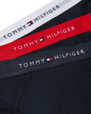 Slip Tommy Hilfiger con elástico en la cintura