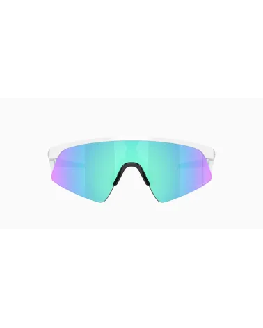 Oakley Resistor Sweep Sonnenbrille