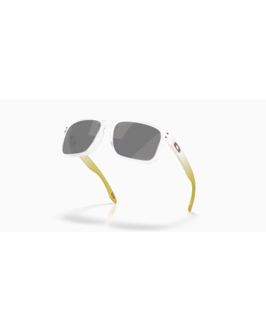 Oakley Holbrook Sportsonnenbrille