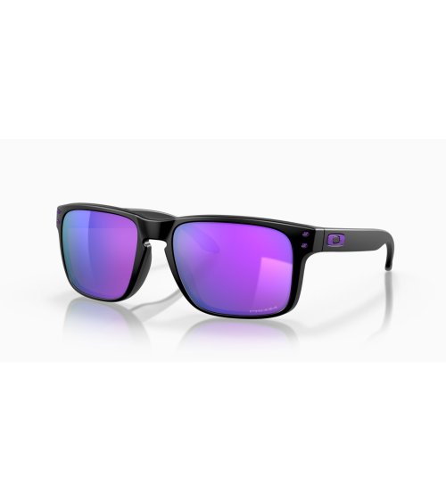 Oakley Holbrook Sportsonnenbrille