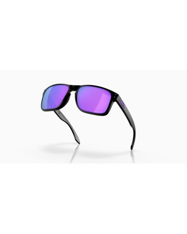 Oakley Holbrook Sportsonnenbrille