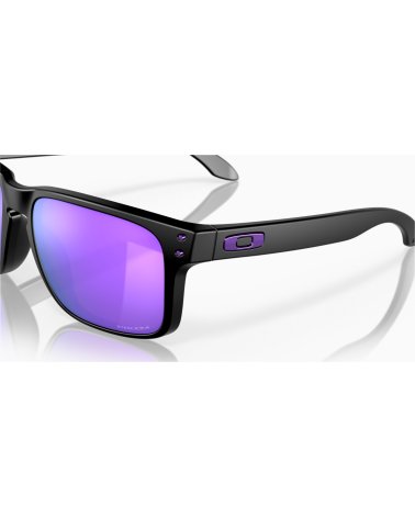Oakley Holbrook Sportsonnenbrille