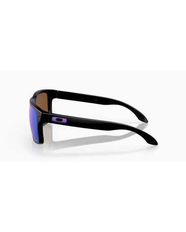 Oakley Holbrook Sportsonnenbrille