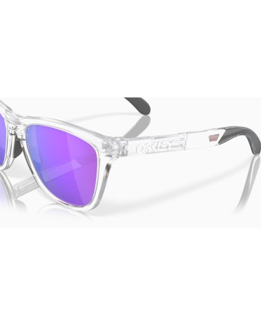 Oakley Frogskins Range Sportsonnenbrille