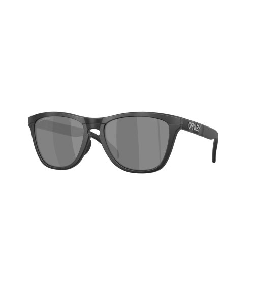 Oakley Frogskins Range XL Sportsonnenbrille