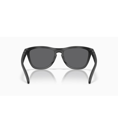 Lunettes de soleil sportives Oakley Frogskins Range XL