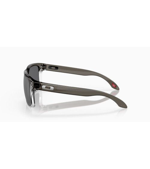 Oakley Holbrook occhiali da sole rettangolari