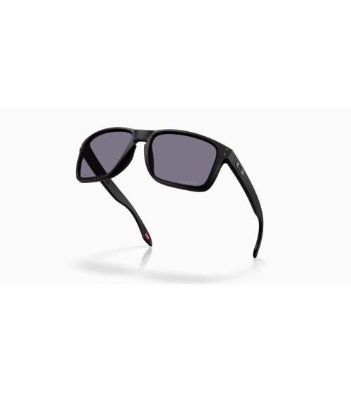 Oakley Holbrook XXL occhiali da sole sportivi