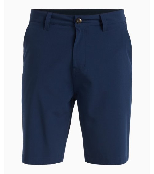 Quiksilver Union Amphibian 20 swim shorts