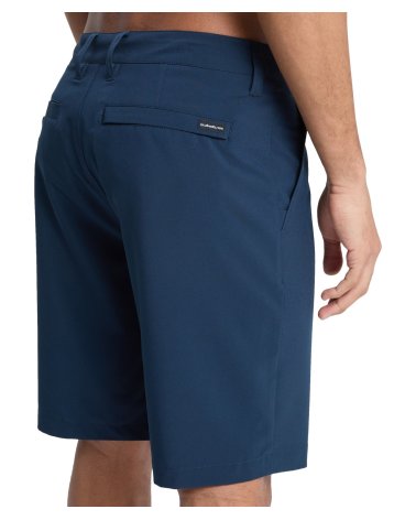 Quiksilver Union Amphibian 20 swim shorts