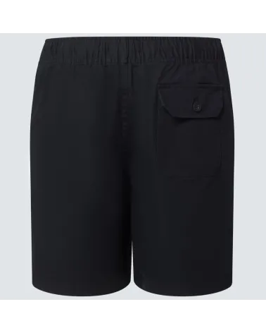 Oakley Marine Park Hybrid 19" Short swim
