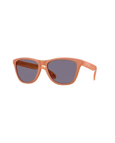 Lunettes de soleil sportives Oakley Frogskins