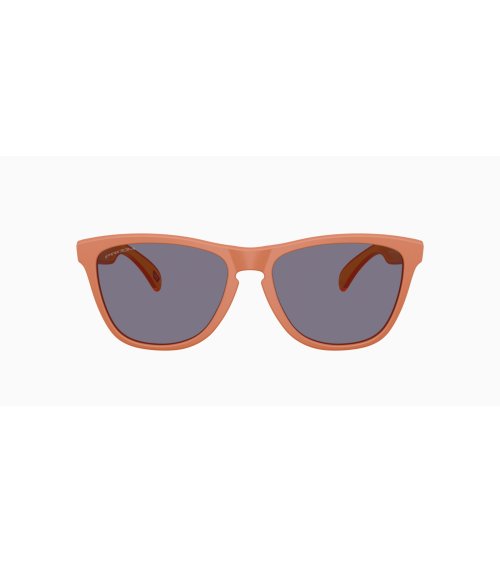 Gafas de sol deportivas Oakley Frogskins