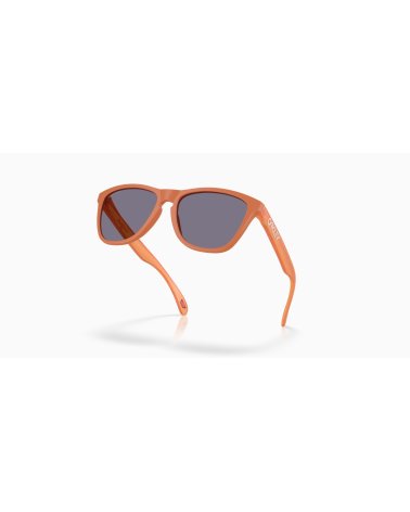 Gafas de sol deportivas Oakley Frogskins