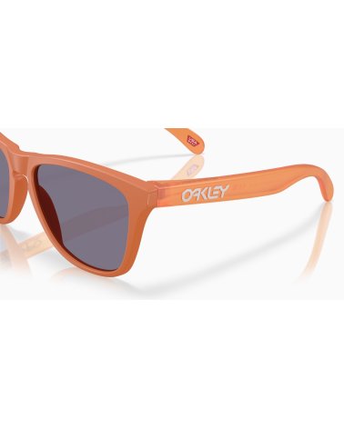 Lunettes de soleil sportives Oakley Frogskins