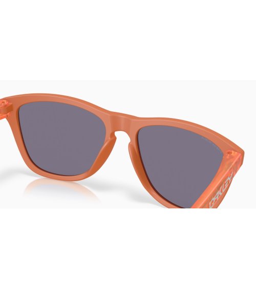 Gafas de sol deportivas Oakley Frogskins