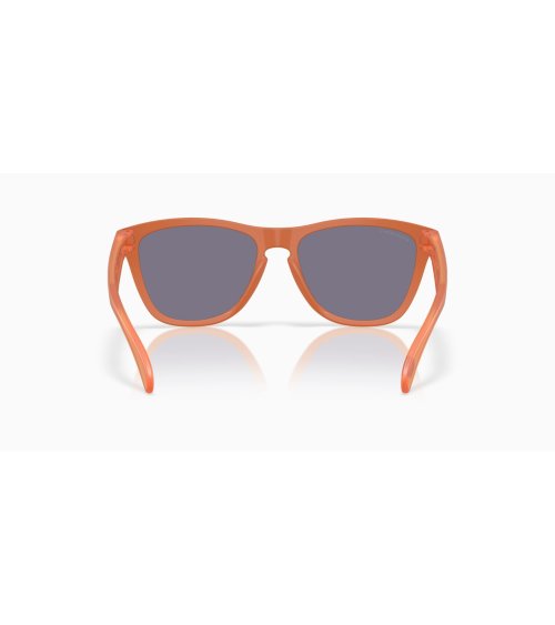Oakley Frogskins Sportsonnenbrille
