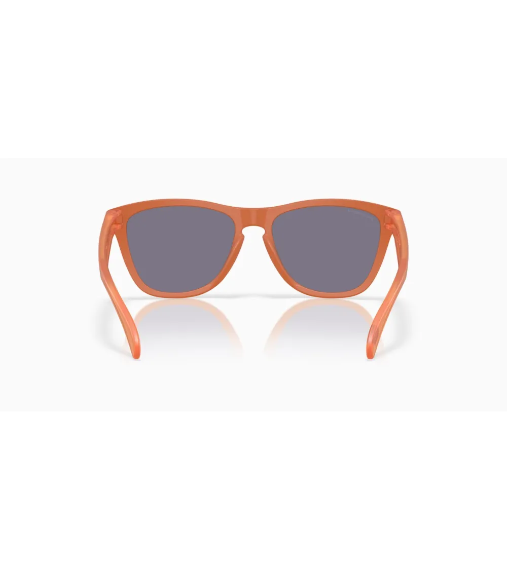 Lunettes de soleil sportives Oakley Frogskins