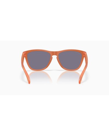 Oakley Frogskins Sportsonnenbrille