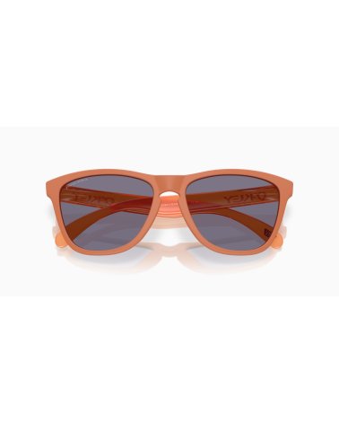 Lunettes de soleil sportives Oakley Frogskins